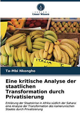 Eine kritische Analyse der staatlichen Transformation durch Privatisierung (German Edition)