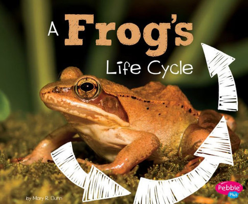A Frog's Life Cycle (Explore Life Cycles)