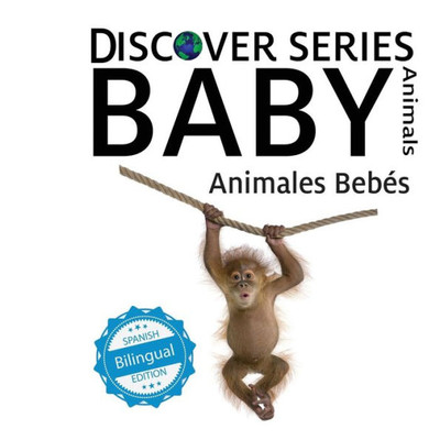 Animales Bebes/ Baby Animals (Xist Kids Bilingual Spanish English)