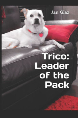 Trico Leader Of The Pack (Runaway Dog From Man's Best Friend To Dog's Best Friend)