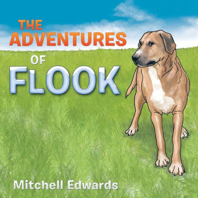 The Adventures Of Flook