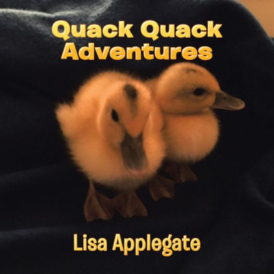 Quack Quack Adventures