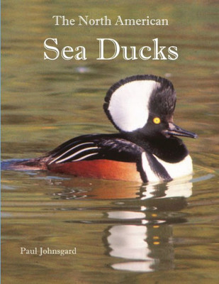 The North American Sea Ducks