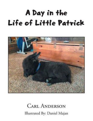 A Day In The Life Of Little Patrick
