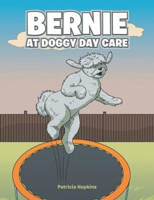 Bernie At Doggy Day Care