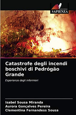 Catastrofe degli incendi boschivi di Pedrógão Grande: Esperienze degli infermieri (Italian Edition)