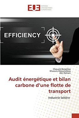 Audit énergétique et bilan carbone d'une flotte de transport (French Edition)