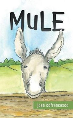 Mule