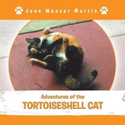 Adventures Of The Tortoiseshell Cat