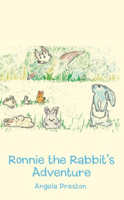 Ronnie The Rabbit's Adventure