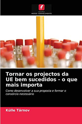 Tornar os projectos da UE bem sucedidos - o que mais importa (Portuguese Edition)