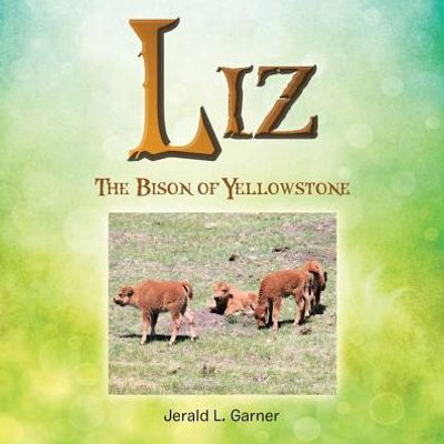 Liz: The Bison Of Yellowstone