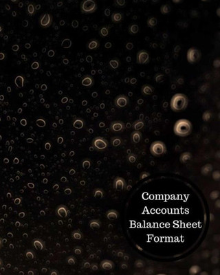 Company Accounts Balance Sheet Format: Balance Sheet Book