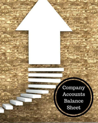 Company Accounts Balance Sheet: Balance Sheet Book