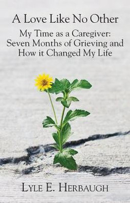 A Love Like No Other: My Time As A Caregiver: Seven Months Of Grieving And How It Changed My Life