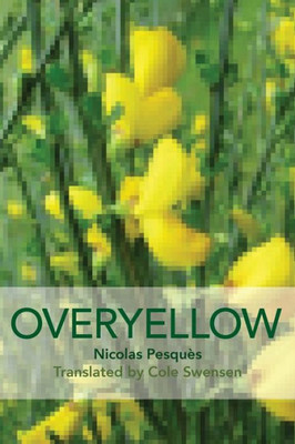 Overyellow: The Poem As Installation Art (Free Verse Editions)