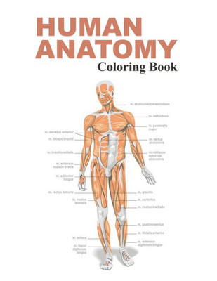 Human Anatomy Coloring Book: The Anatomy Coloring Book