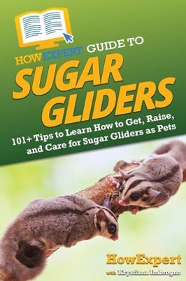 Howexpert Guide To Sugar Gliders: 101+ Tips To Learn How To Get, Raise, And Care For Sugar Gliders As Pets