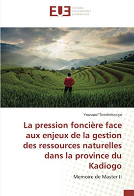 La pression foncière face aux enjeux de la gestion des ressources naturelles dans la province du Kadiogo: Memoire de Master II (French Edition)
