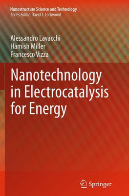 Nanotechnology In Electrocatalysis For Energy (Nanostructure Science And Technology, 170)