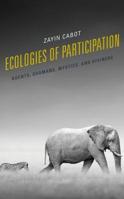 Ecologies Of Participation: Agents, Shamans, Mystics, And Diviners (Postcolonial And Decolonial Studies In Religion And Theology)