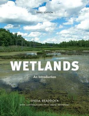 Wetlands: An Introduction