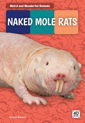 Naked Mole Rats (Weird And Wonderful Animals)