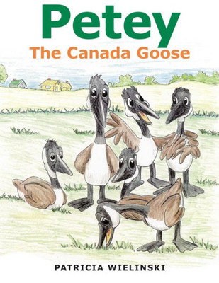Petey: The Canada Goose