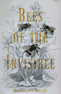Bees Of The Invisible