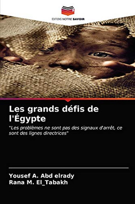 Les grands défis de l'Égypte (French Edition)