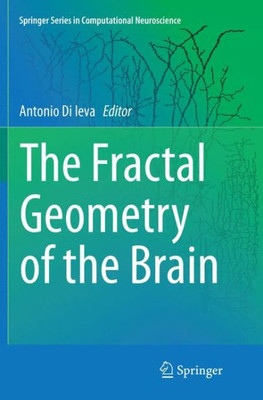 The Fractal Geometry Of The Brain (Springer Series In Computational Neuroscience)