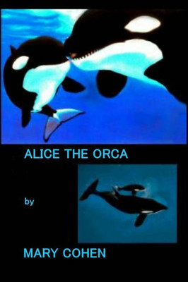 Alice The Orca