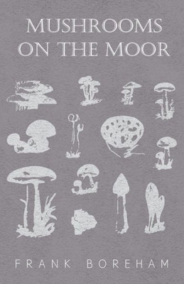 Mushrooms On The Moor