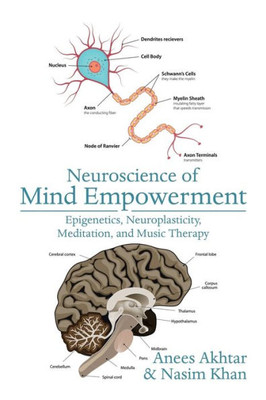Neuroscience Of Mind Empowerment: Epigenetics, Neuroplasticity, Meditation, And Music Therapy