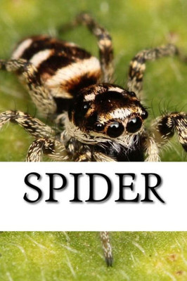 Spider (Spiders)