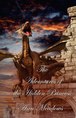 The Adventures Of The Hidden Princess