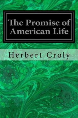 The Promise Of American Life