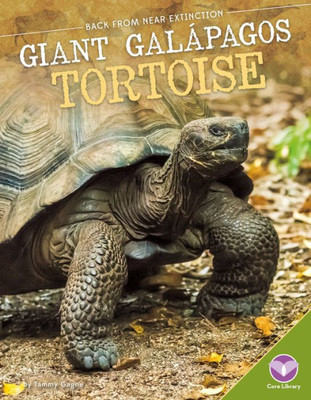 Giant Galapagos Tortoise (Back from Near Extinction)