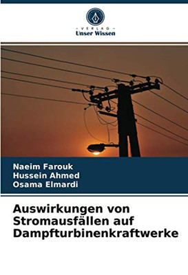 Auswirkungen von Stromausfällen auf Dampfturbinenkraftwerke (German Edition)