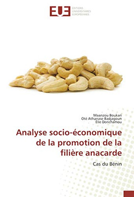 Analyse socio-économique de la promotion de la filière anacarde: Cas du Bénin (French Edition)