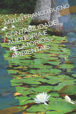 CONTABILIDADE, AUDITORIA E RELATÓRIOS AMBIENTAIS (Portuguese Edition)
