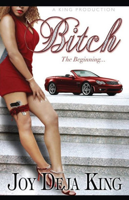 Bitch The Beginning (Bitch Series)