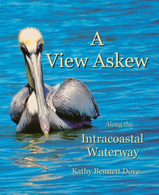 A View Askew : Along the Intracoastal Waterway