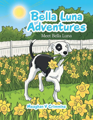 Bella Luna Adventures: Meet Bella Luna