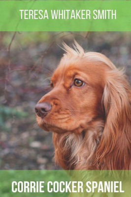 Corrie Cocker Spaniel