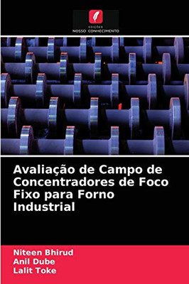 Avaliação de Campo de Concentradores de Foco Fixo para Forno Industrial (Portuguese Edition)