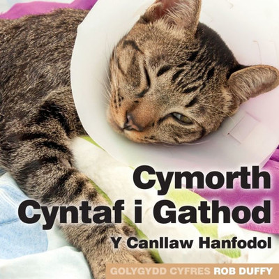 Cymorth Cyntaf i Gathod: Y Canllaw Hanfodol (Welsh Edition)