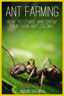 Ant Farming: How to Start and Grow Your Own Ant Colony