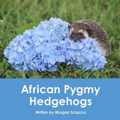 African Pygmy Hedgehogs