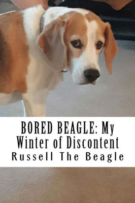 Bored Beagle: My Winter of Discontent